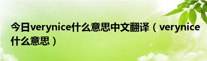 今日verynice什么意思中文翻译（verynice什么意思）