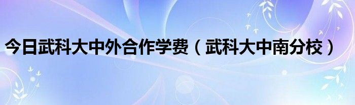 今日武科大中外合作学费（武科大中南分校）