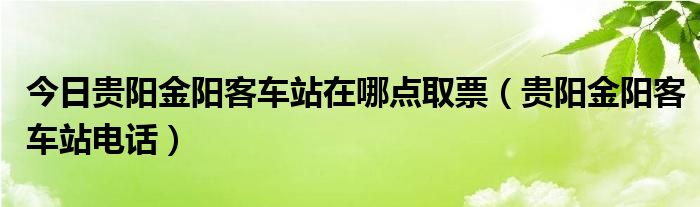 今日贵阳金阳客车站在哪点取票（贵阳金阳客车站电话）