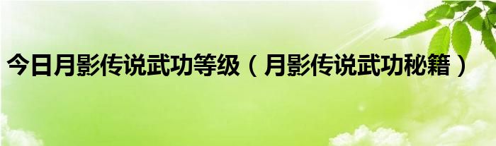 今日月影传说武功等级（月影传说武功秘籍）