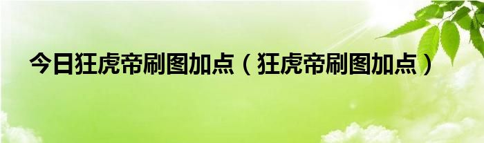 今日狂虎帝刷图加点（狂虎帝刷图加点）