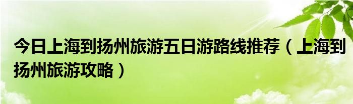 今日上海到扬州旅游五日游路线推荐（上海到扬州旅游攻略）