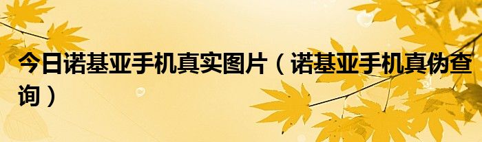 今日诺基亚手机真实图片（诺基亚手机真伪查询）