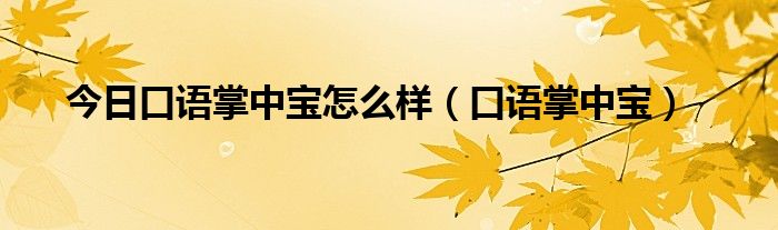 今日口语掌中宝怎么样（口语掌中宝）