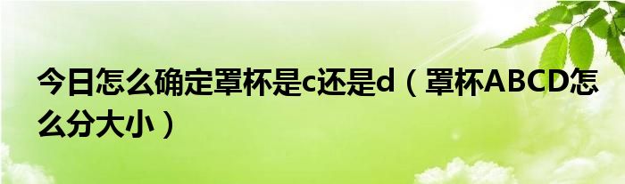 今日怎么确定罩杯是c还是d（罩杯ABCD怎么分大小）