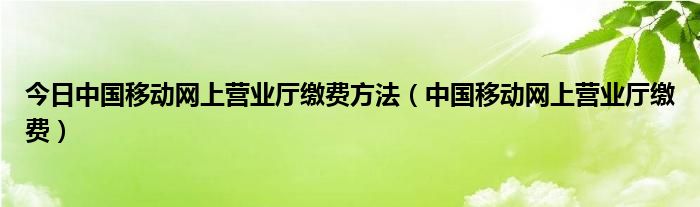 今日中国移动网上营业厅缴费方法（中国移动网上营业厅缴费）