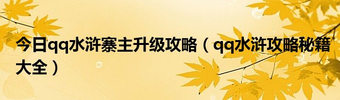 今日qq水浒寨主升级攻略（qq水浒攻略秘籍大全）