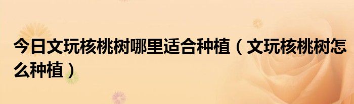 今日文玩核桃树哪里适合种植（文玩核桃树怎么种植）