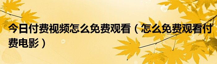 今日付费视频怎么免费观看（怎么免费观看付费电影）