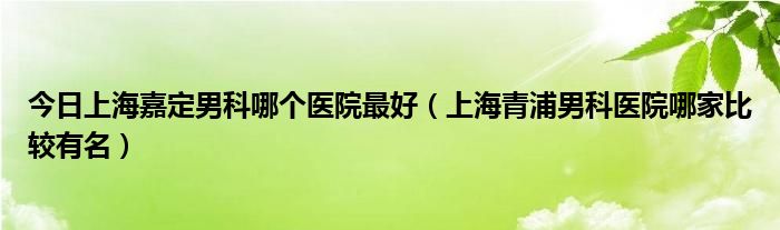 今日上海嘉定男科哪个医院最好（上海青浦男科医院哪家比较有名）