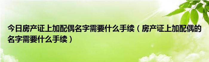 今日房产证上加配偶名字需要什么手续（房产证上加配偶的名字需要什么手续）