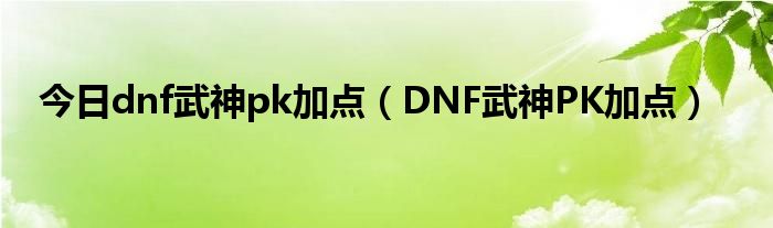 今日dnf武神pk加点（DNF武神PK加点）