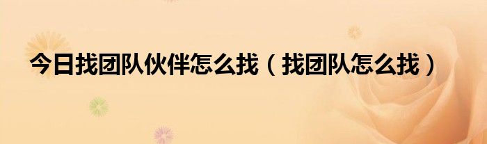 今日找团队伙伴怎么找（找团队怎么找）