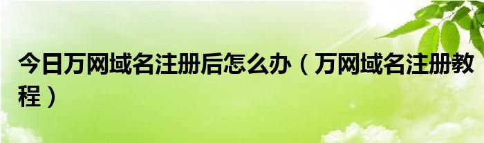 今日万网域名注册后怎么办（万网域名注册教程）