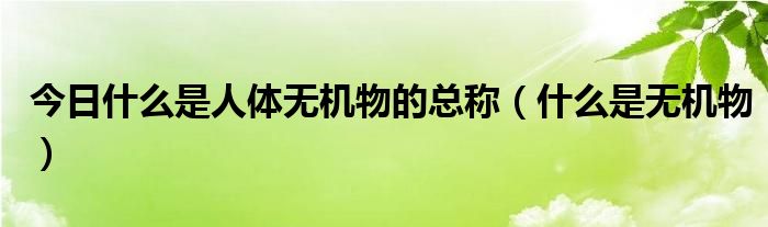 今日什么是人体无机物的总称（什么是无机物）