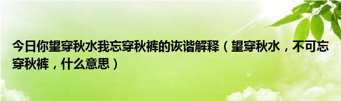 今日你望穿秋水我忘穿秋裤的诙谐解释（望穿秋水，不可忘穿秋裤，什么意思）