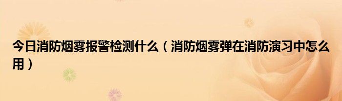 今日消防烟雾报警检测什么（消防烟雾弹在消防演习中怎么用）