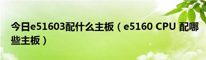 今日e51603配什么主板（e5160 CPU 配哪些主板）