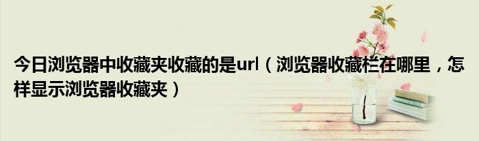 今日浏览器中收藏夹收藏的是url（浏览器收藏栏在哪里，怎样显示浏览器收藏夹）