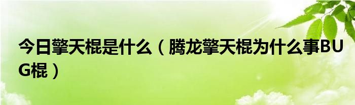 今日擎天棍是什么（腾龙擎天棍为什么事BUG棍）