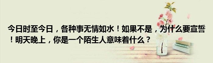 今日时至今日，各种事无情如水！如果不是，为什么要宣誓！明天晚上，你是一个陌生人意味着什么？