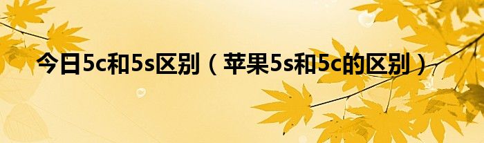 今日5c和5s区别（苹果5s和5c的区别）