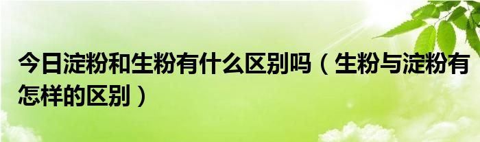 今日淀粉和生粉有什么区别吗（生粉与淀粉有怎样的区别）