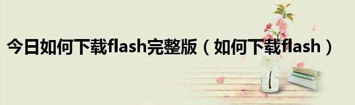 今日如何下载flash完整版（如何下载flash）