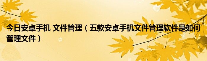 今日安卓手机 文件管理（五款安卓手机文件管理软件是如何管理文件）