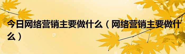 今日网络营销主要做什么（网络营销主要做什么）