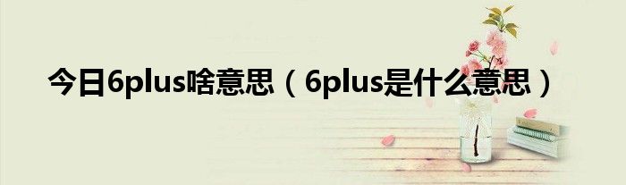 今日6plus啥意思（6plus是什么意思）