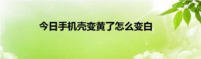 今日手机壳变黄了怎么变白