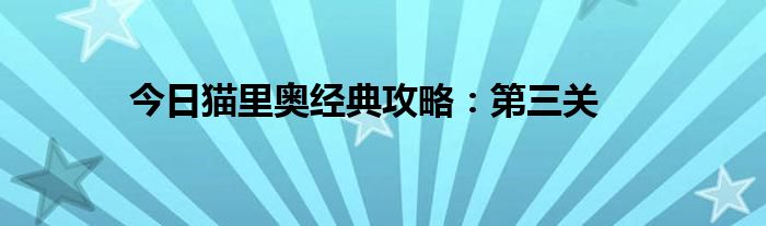 今日猫里奥经典攻略：第三关