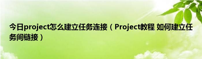 今日project怎么建立任务连接（Project教程 如何建立任务间链接）