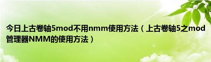 今日上古卷轴5mod不用nmm使用方法（上古卷轴5之mod管理器NMM的使用方法）