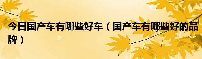 今日国产车有哪些好车（国产车有哪些好的品牌）