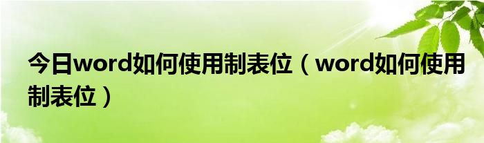 今日word如何使用制表位（word如何使用制表位）