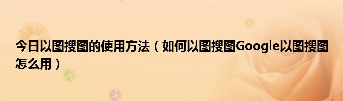 今日以图搜图的使用方法（如何以图搜图Google以图搜图怎么用）