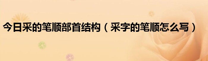 今日采的笔顺部首结构（采字的笔顺怎么写）