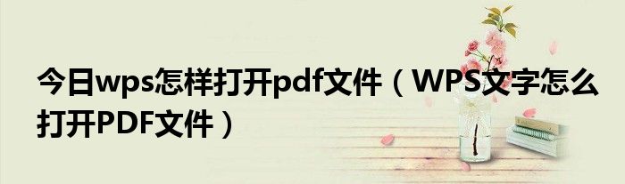 今日wps怎样打开pdf文件（WPS文字怎么打开PDF文件）