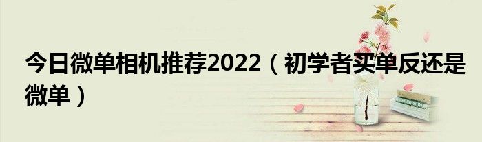 今日微单相机推荐2022（初学者买单反还是微单）