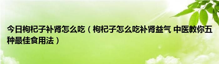 今日枸杞子补肾怎么吃（枸杞子怎么吃补肾益气 中医教你五种最佳食用法）