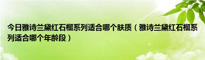 今日雅诗兰黛红石榴系列适合哪个肤质（雅诗兰黛红石榴系列适合哪个年龄段）