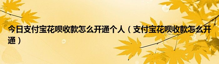 今日支付宝花呗收款怎么开通个人（支付宝花呗收款怎么开通）