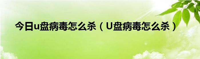 今日u盘病毒怎么杀（U盘病毒怎么杀）