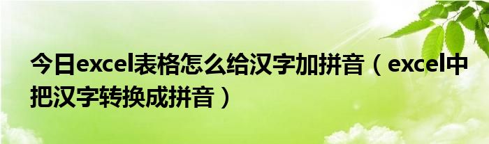 今日excel表格怎么给汉字加拼音（excel中把汉字转换成拼音）