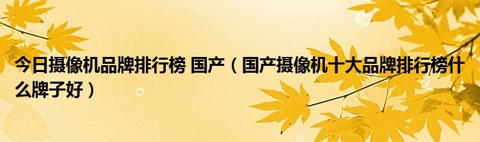 今日摄像机品牌排行榜 国产（国产摄像机十大品牌排行榜什么牌子好）