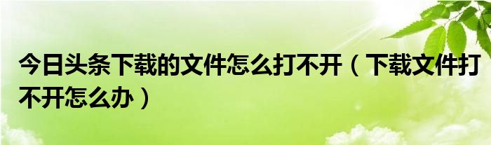 今日头条下载的文件怎么打不开（下载文件打不开怎么办）