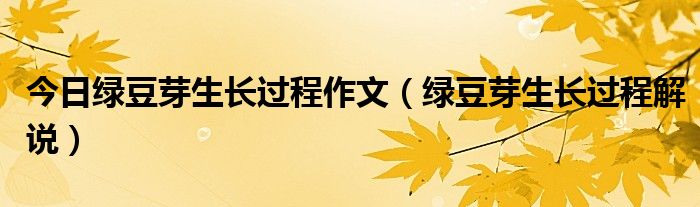 今日绿豆芽生长过程作文（绿豆芽生长过程解说）