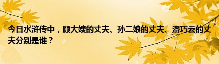 今日水浒传中，顾大嫂的丈夫、孙二娘的丈夫、潘巧云的丈夫分别是谁？